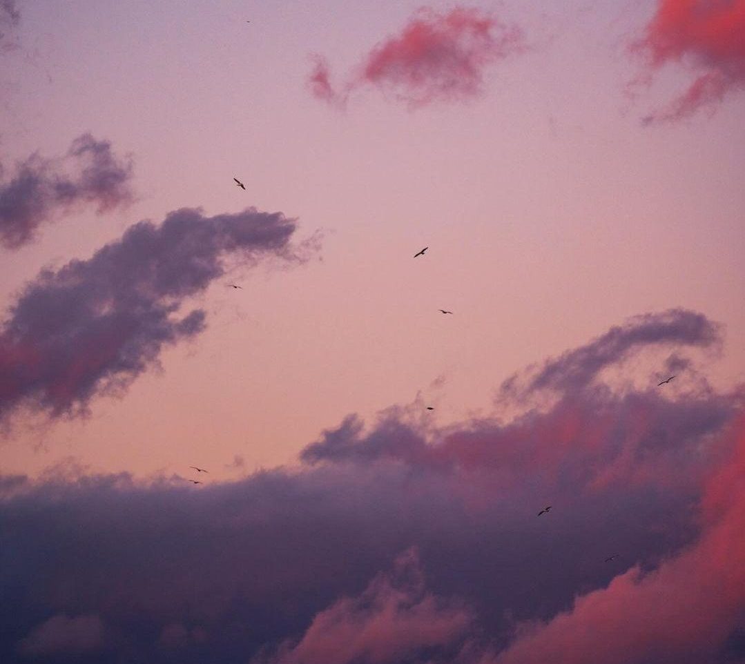 Morgenhimmel mit rosa Wolken und Vögeln – ein ruhiger Sonnenaufgang, perfekt, um den Tag mit positiven Gedanken und einem Guten-Morgen-Spruch zu beginnen.