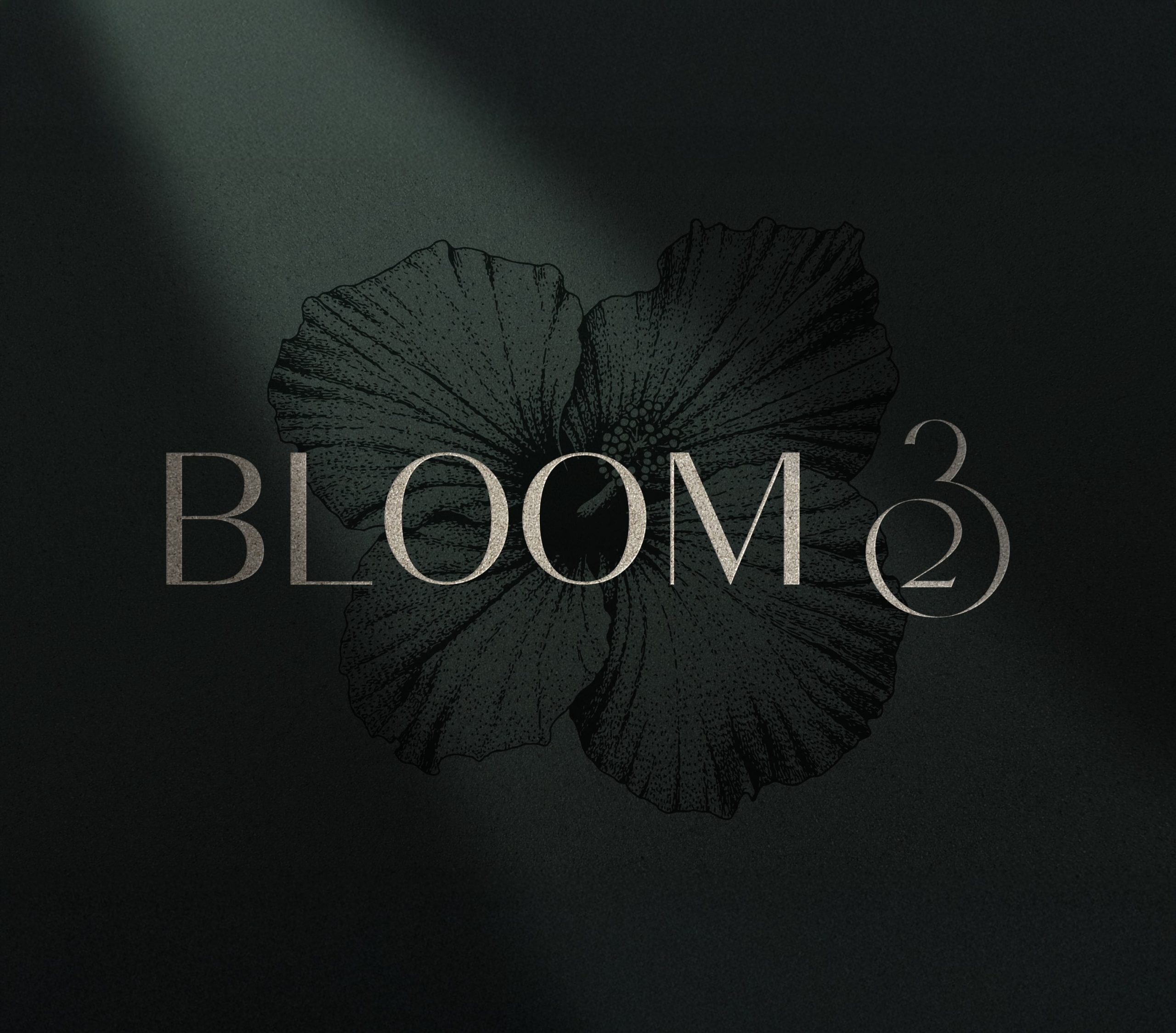 Logoentwicklung für Bloom 23 – visuelle Markenbasis gestaltet von CUSTOMIZE