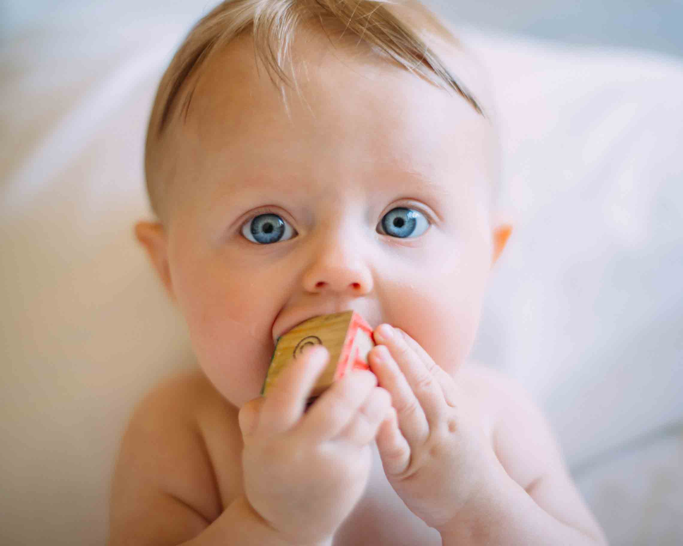 Baby steckt sich Holzbaustein in den Mund - kein Problem für das kindliche Immunsystem.